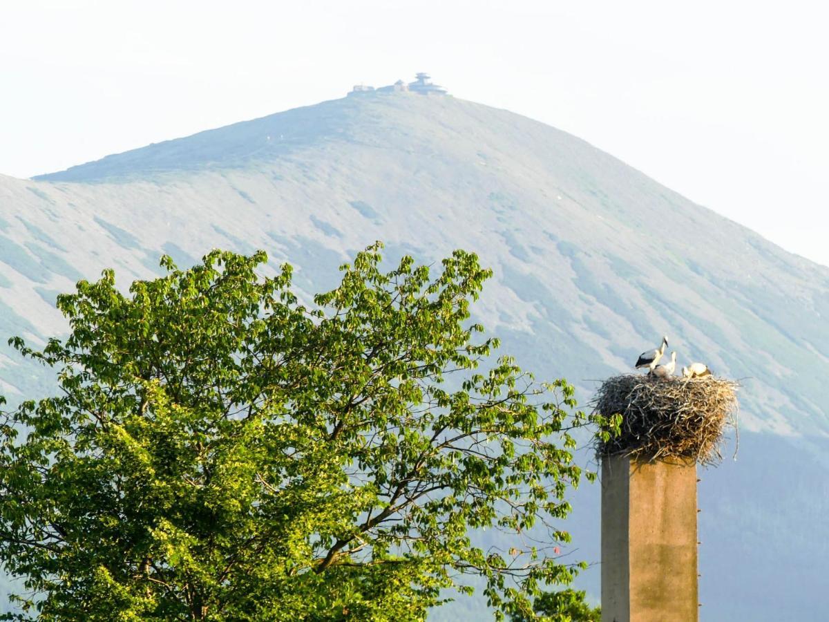 Karkonoskie Siodlo Vila Kostrzyca Exterior foto